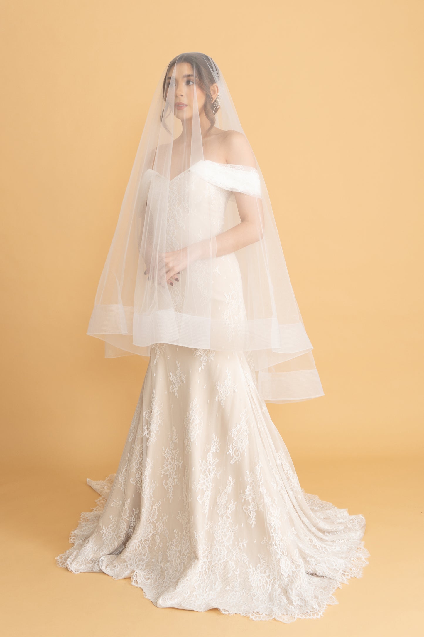 Horsehair Veil